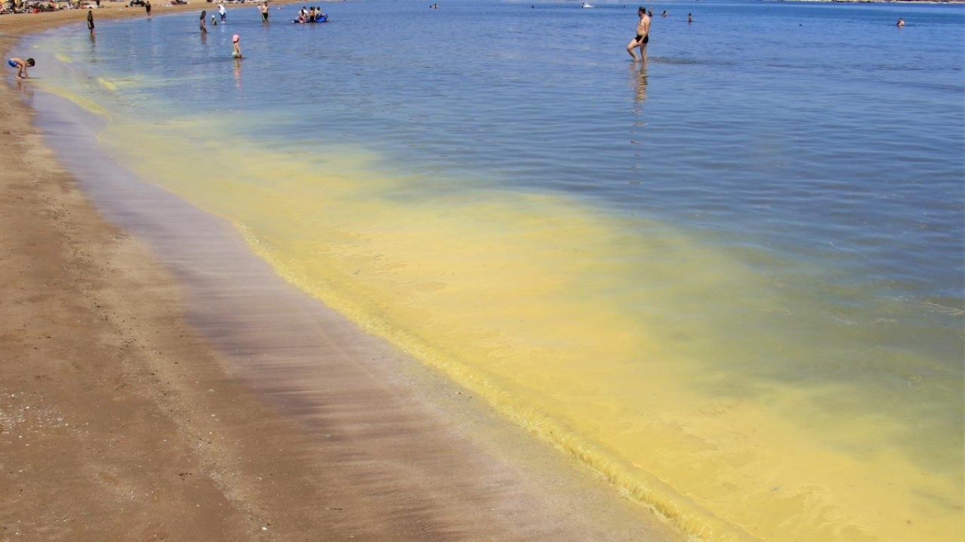 Mersin'de polen sahili sarıya boyadı, binlerce arı telef oldu