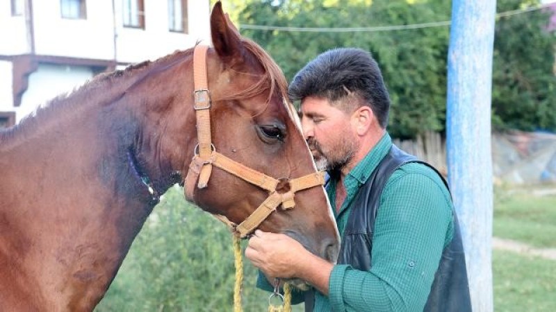 Atının boynu kesildi, iki damarı bahçe hortumuyla bağladı