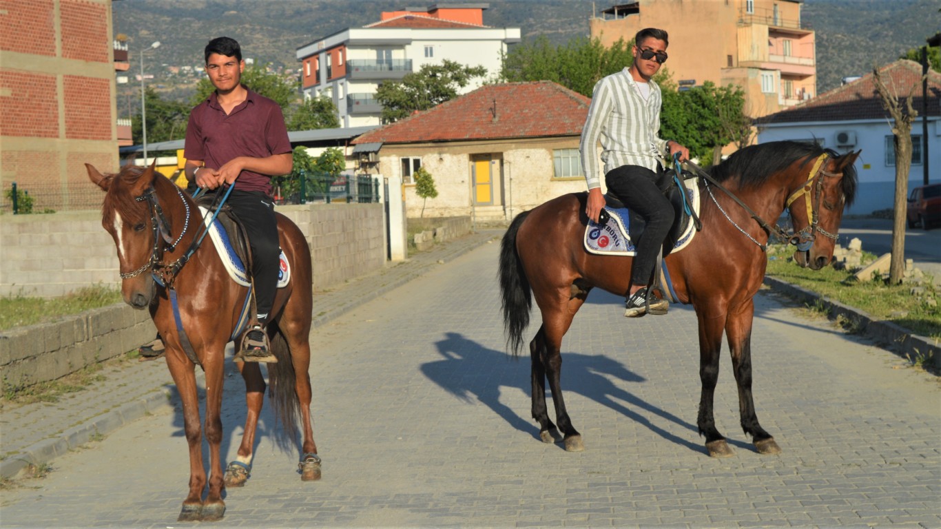 ÇİNELİ GENÇLERİN RAHVAN AT AŞKI