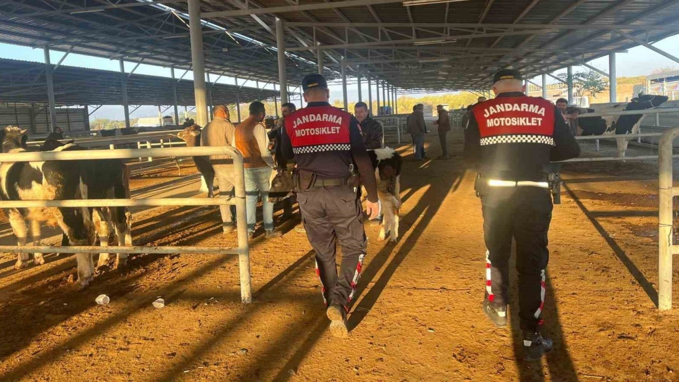 ÇİNE'DE JANDARMADAN VATANDAŞLARA DOLANDIRICILARA KARŞI UYARI