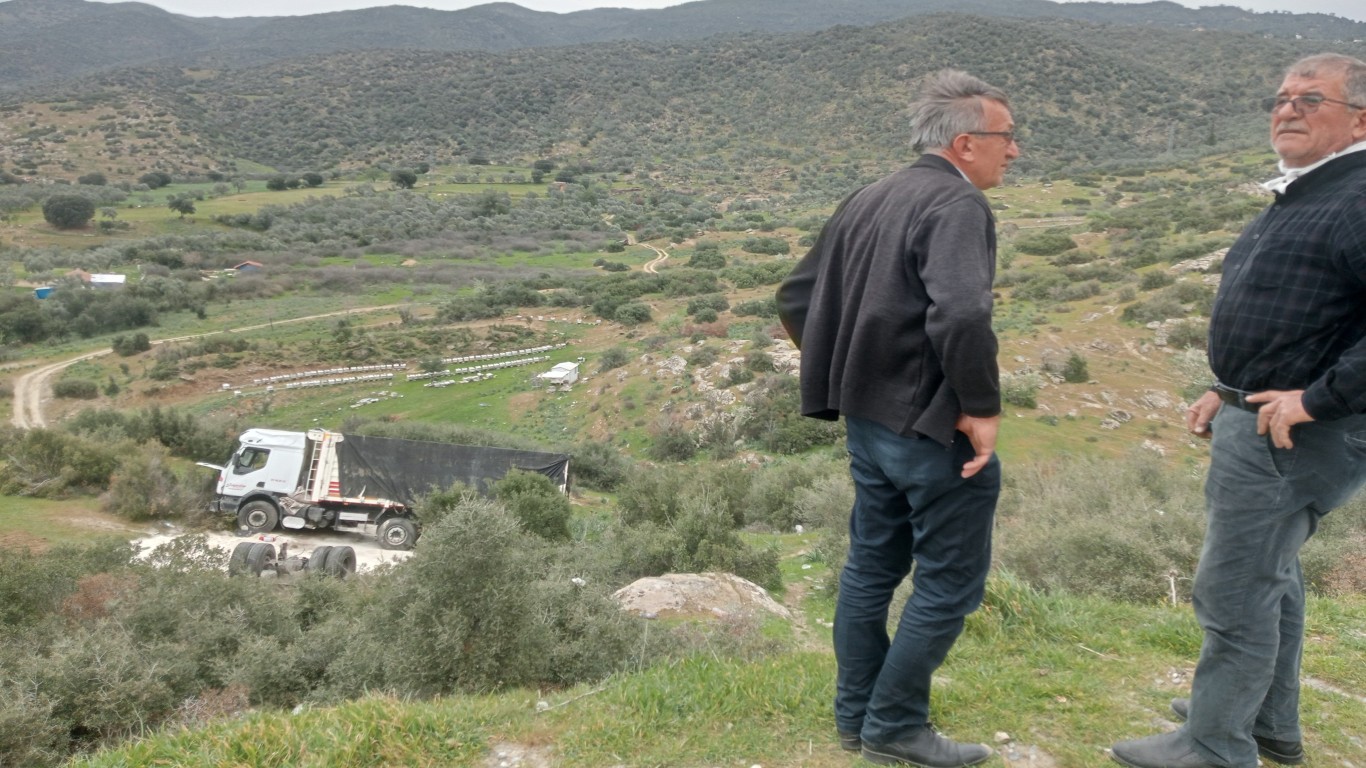 KAMYON UÇURUMA YUVARLANDI ŞOFÖR ÖLÜMDEN DÖNDÜ