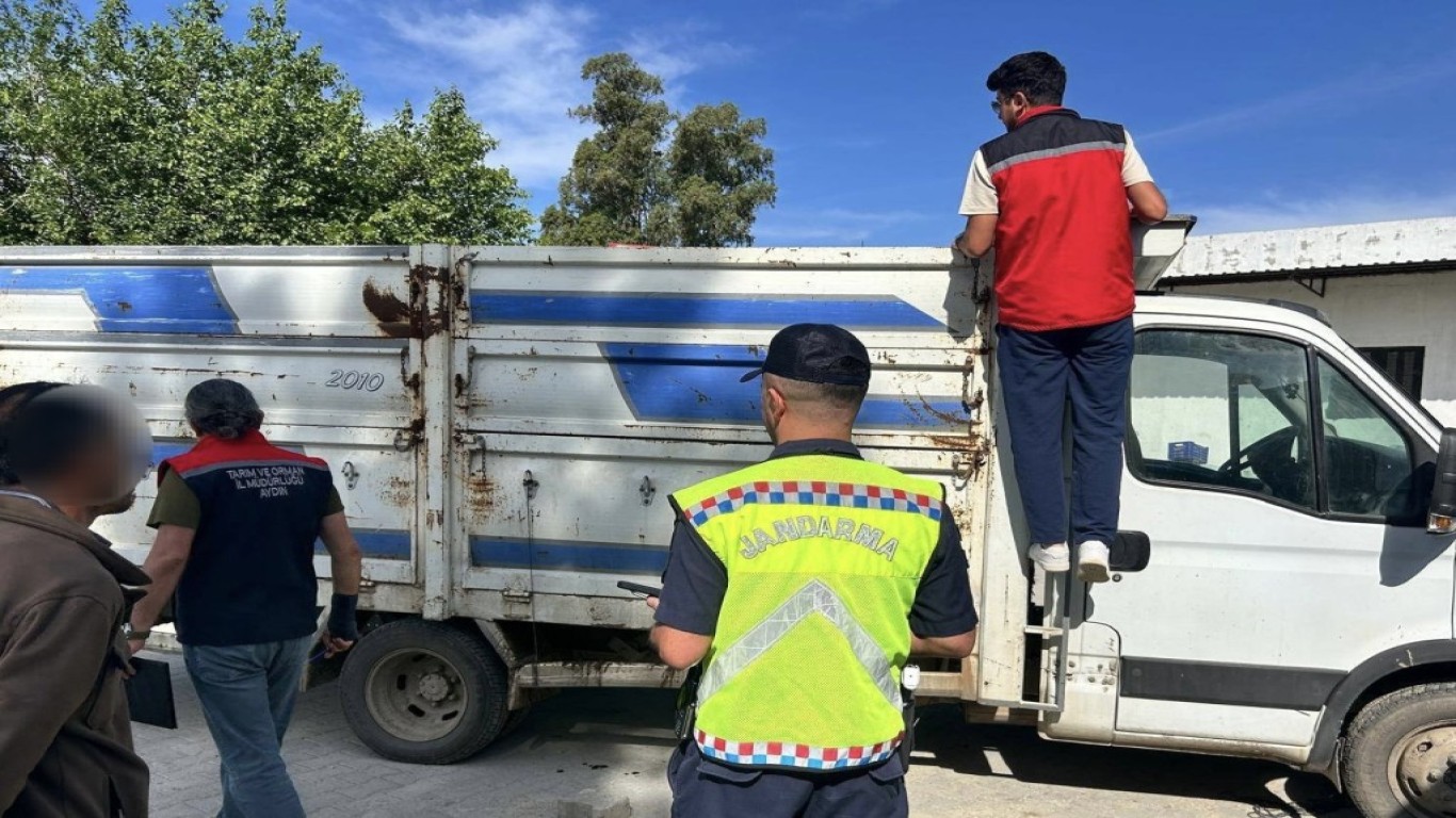 Eksik evrakla canlı hayvan taşıyan 2 kişi cezadan kaçamadı