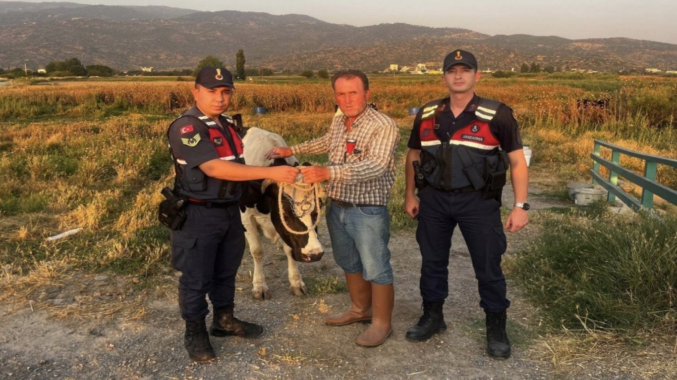 ÇALINAN HAYVANI JANDARMA BULDU