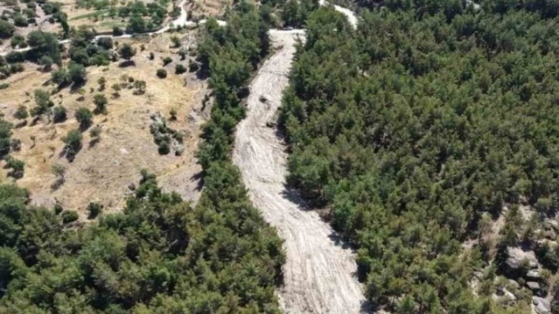 ÇİNE'YE ÇAĞRI