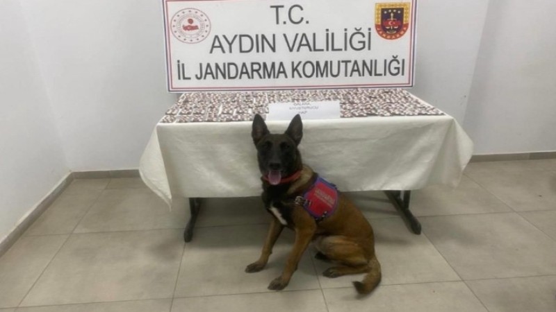 Zehir Sevkiyatı Ellerinde Patladı