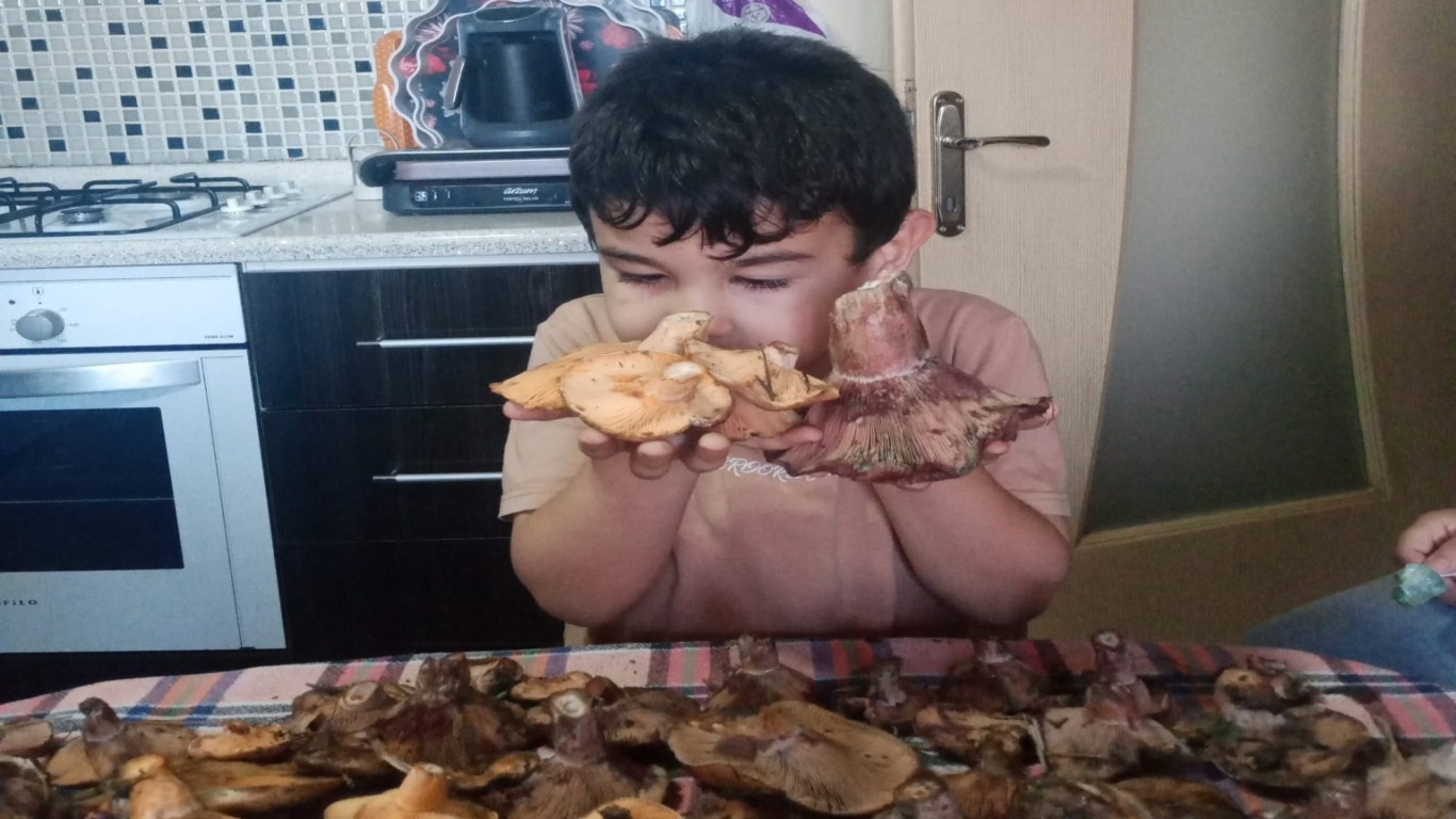 ÇİNE'DE SONBAHARIN İLK AŞKI ÇINTAR MANTARI KENDİNİ GÖSTERDİ
