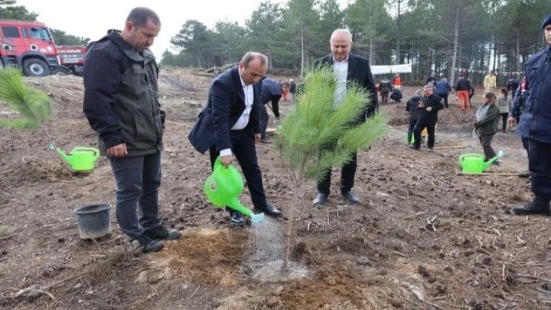 Çine'de Fidanlar Yeşil Vatan İçin Toprak İle Buluştu