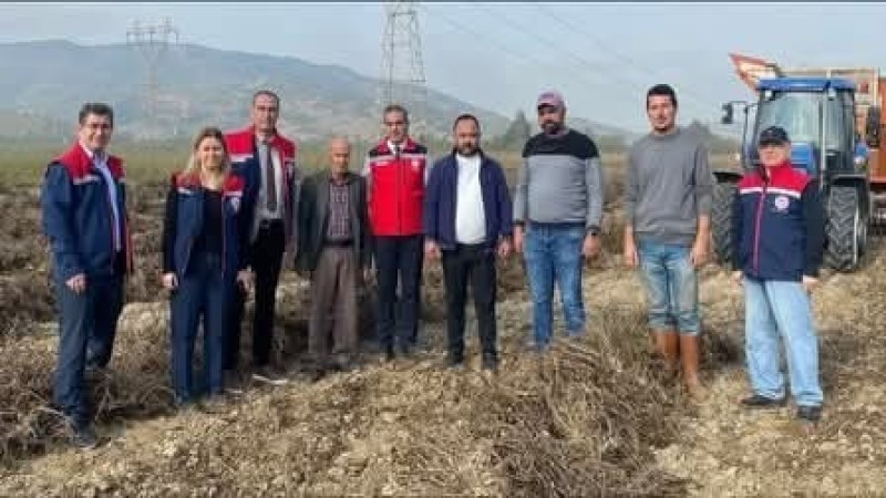 ÇİNE ÜRETİMDE LİDER