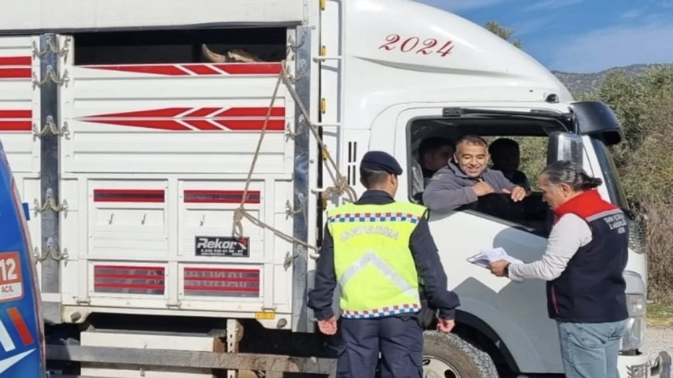 HAYVAN SEVKİYATINA DENETİM