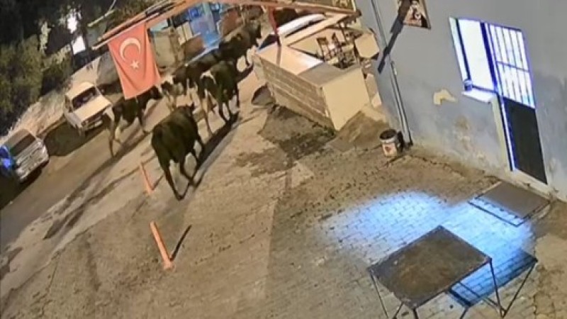 ÇİNE JANDARMASINDAN GECE DEVRİYESİ