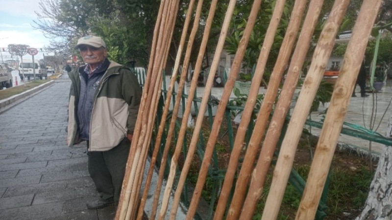 Teknolojiye Meydan Okuyan Gelenek: Çine’nin Zeytin Sırıkları 83 Yaşındaki Kamil Usta’ya Emanet