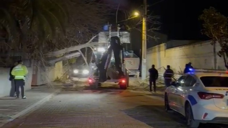 Çine'de Şiddetli Rüzgar Ağaç Devirdi: Facianın Eşiğinden Dönüldü