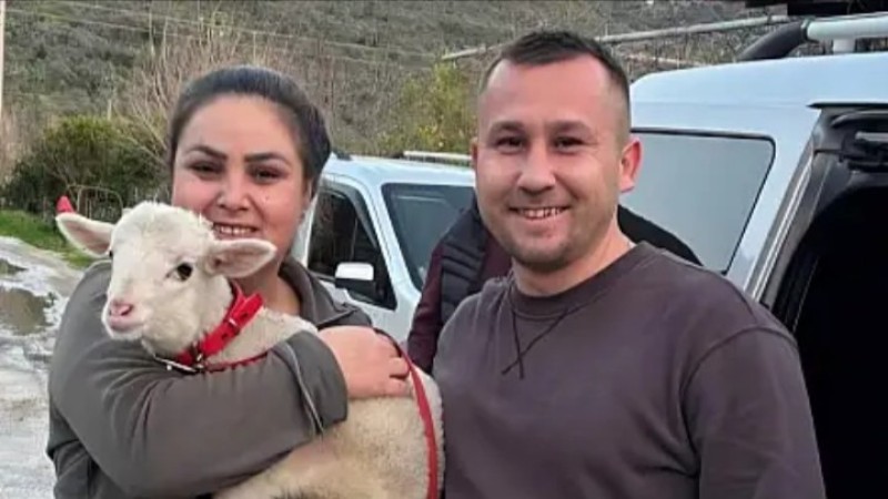 Kuyumcuya Değil Ağıla Gitti: Çineli Damadın 14 Şubat Hediyesi Türkiye Gündeminde