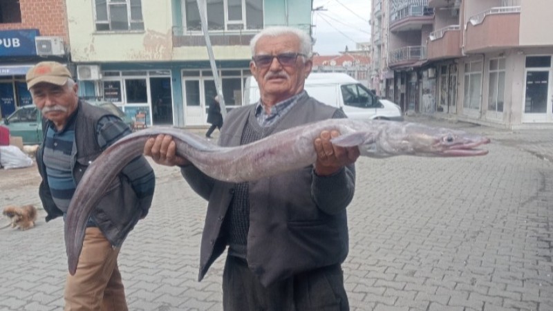 Çine'de İnsan Boyundaki Yılan Balığı İlgi Odağı Oldu