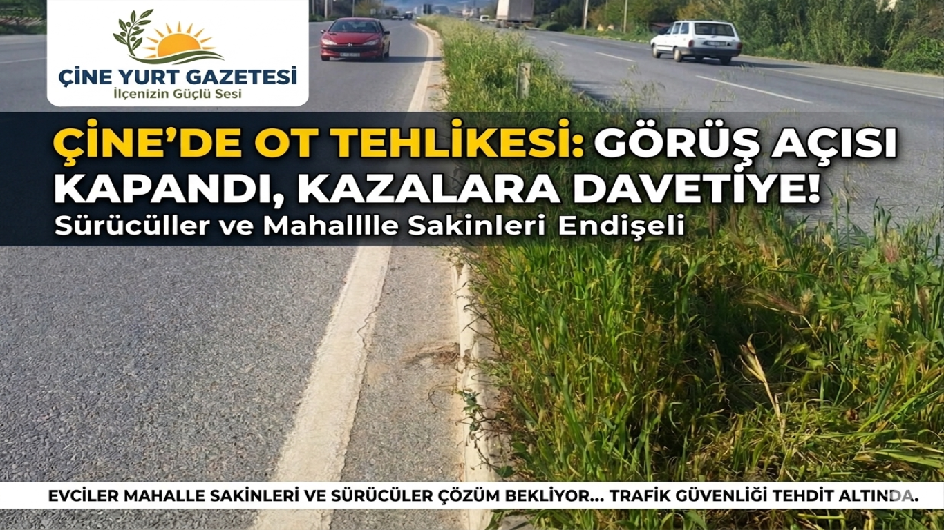 Çine’de Ot Tehlikesi: Sürücülerin Görüş Açısı Kapandı!
