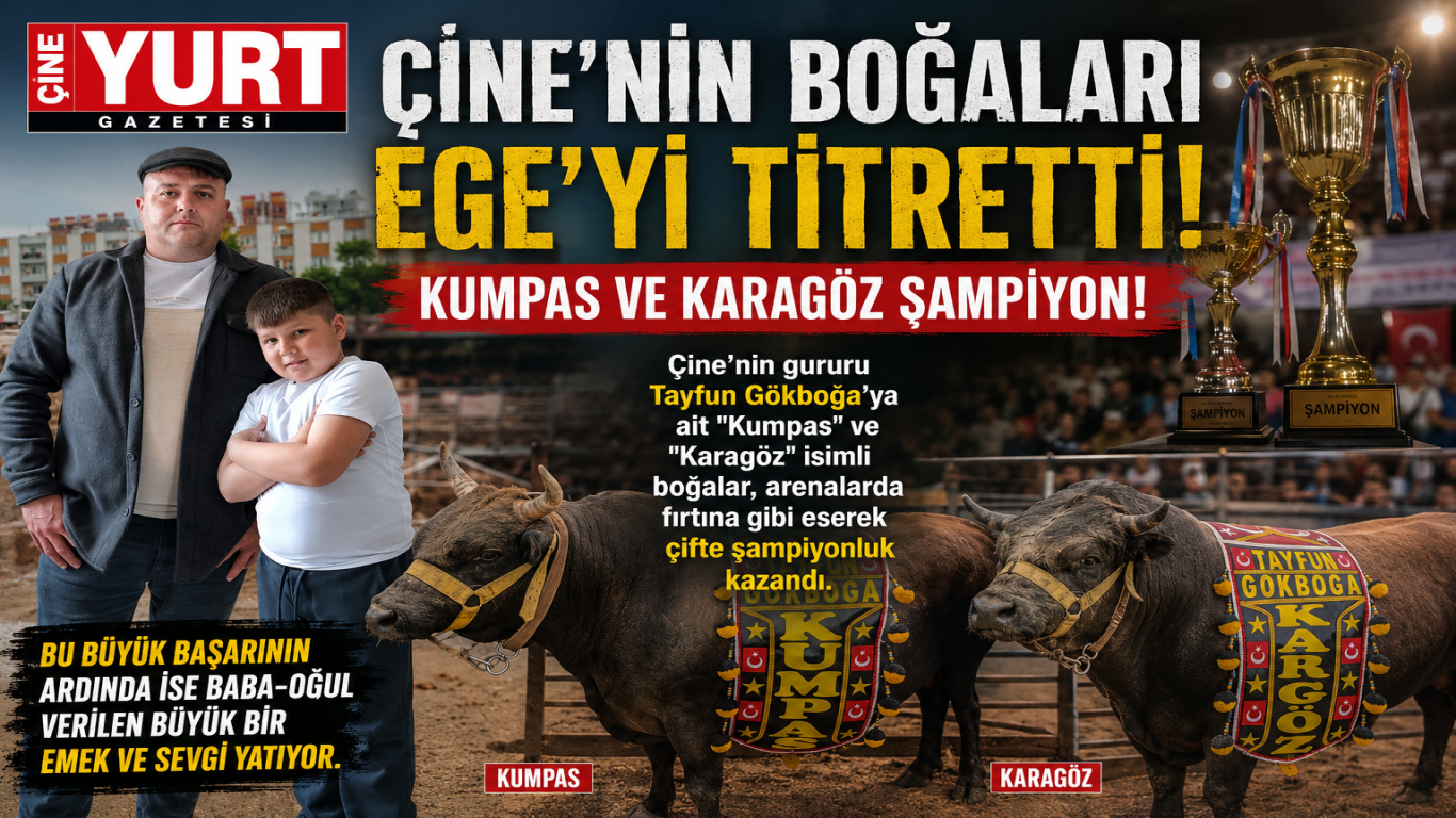 Çine’nin Boğaları Ege’yi Titretti: Kumpas ve Karagöz Şampiyon!