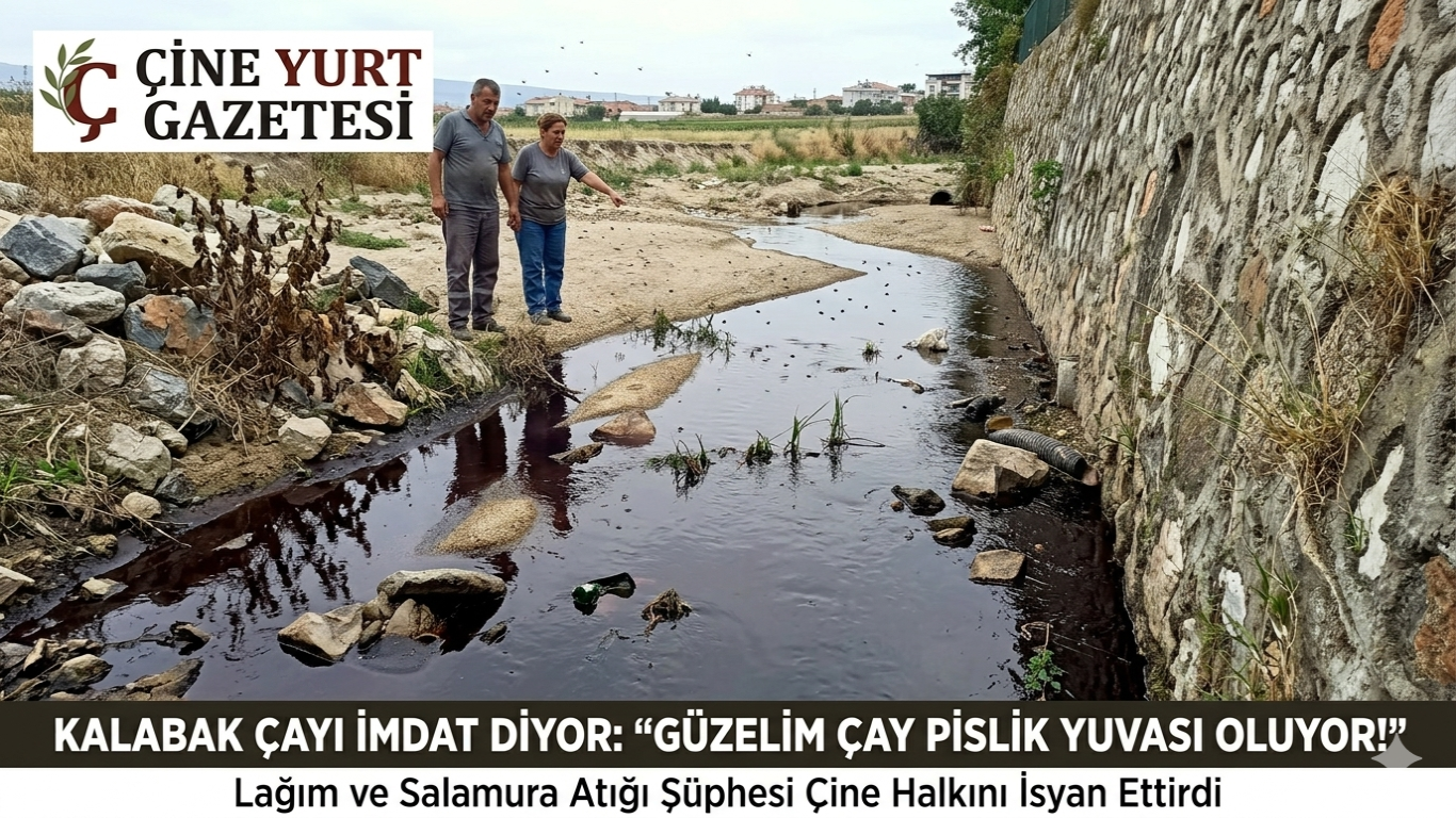 BU KOKUYA CAN MI DAYANIR? Çine Kalabak Çayı’nda Çevre Alarmı