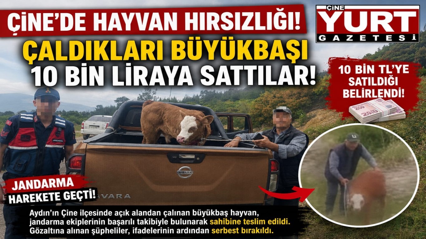Çine’de Hayvan Hırsızlığı: 10 Bin Liralık İtiraf!