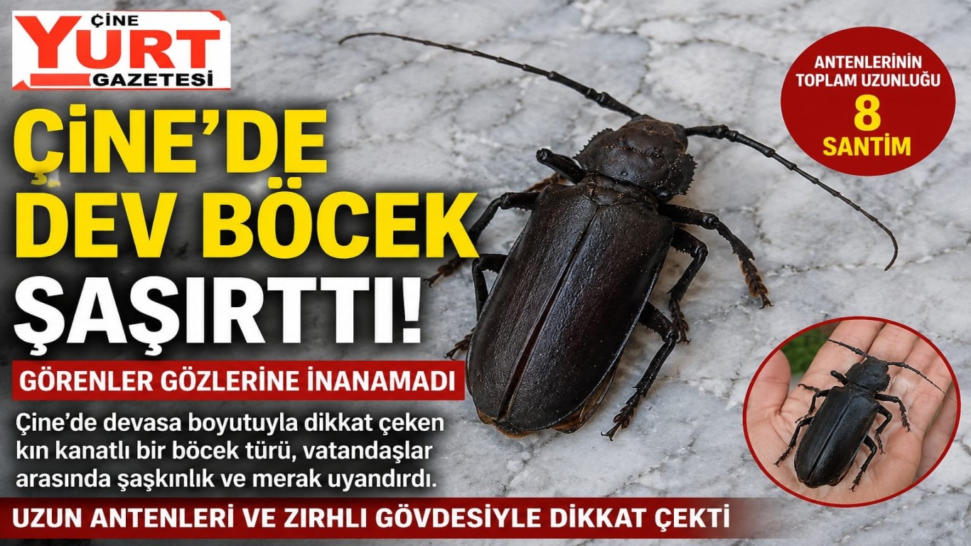 ÇİNE’DE DEV BÖCEK ŞAŞIRTTI! GÖRENLER GÖZLERİNE İNANAMADI